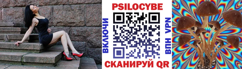 что такое   Кемерово  даркнет как зайти  Псилоцибиновые грибы прущие грибы  MEGA онион 